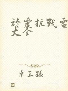 于震抗战电视剧大全