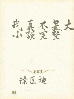 我真不是大佬 小说完整