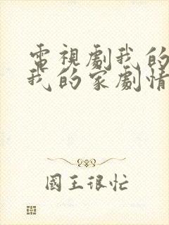 电视剧我的孩子我的家剧情介绍