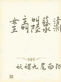 女主叫苏清欢男主叫陆承洲