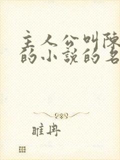 主人公叫陈小凡的小说的名字