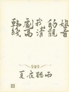 韩剧我的姐姐在线高清观看封面