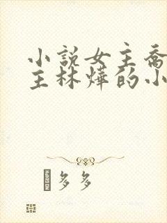 小说女主乔念男主林烨的小说