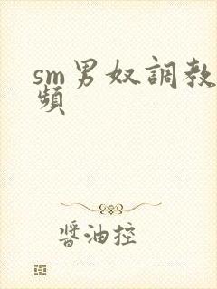 sm男奴调教视频