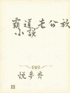 霸道老公放肆爱 小说封面