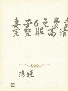 妻子6免费观看完整版高清电视剧封面