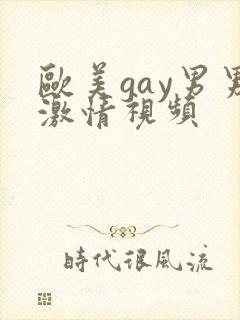 欧美gay男男激情视频