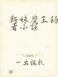 新妹魔王的契约者小说封面