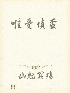唯爱侦查