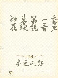神墓第一季动漫在线观看免费高清完整版封面