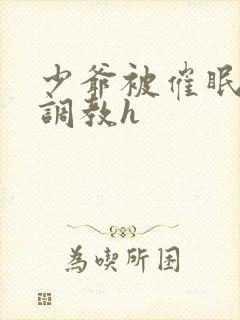 少爷被催眠玩弄调教h