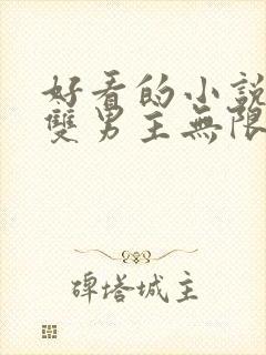好看的小说推荐双男主无限流
