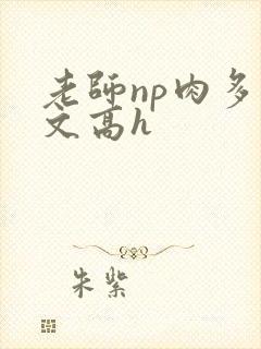 老师np肉多荤文高h