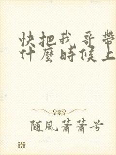 快把我哥带走2什么时候上映