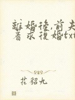 离婚后,前夫哭着求复婚txt