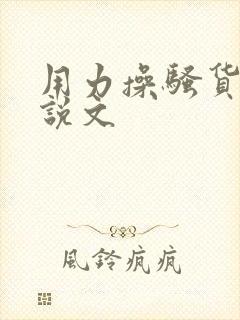 用力操骚货逼小说文封面