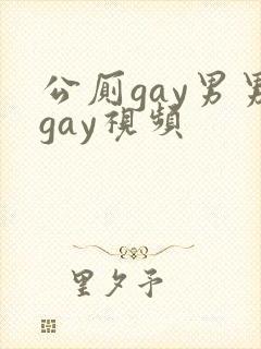 公厕gay男男gay视频