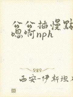 公公插慢点嗯啊嗯啊nph