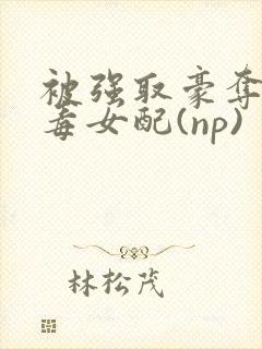 被强取豪夺的恶毒女配(np)