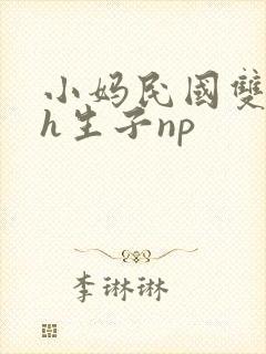 小妈民国双性高h生子np