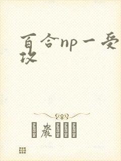 百合np一受多攻封面