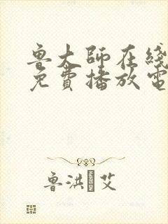 鲁大师在线观看免费播放电视剧安全封面