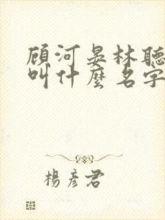 顾河晏林听小说叫什么名字