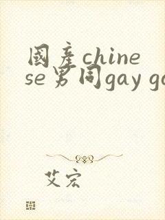 国产chinese男同gay gay封面