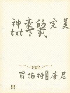 神豪的完美人生txt下载