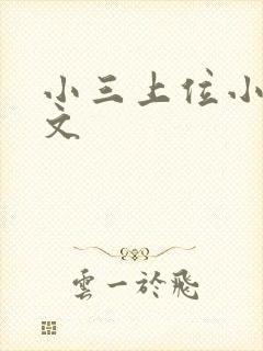 小三上位小说全文