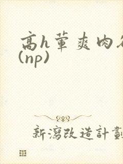 高h荤爽肉欲文(np)封面