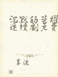 沉默的荣耀电视连续剧免费观看全集封面