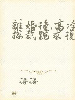 离婚后,高冷女总裁跪求复婚有声小说