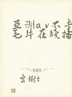 亚洲a v不卡毛片在线播放