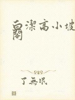 白洁高小坡笔趣阁