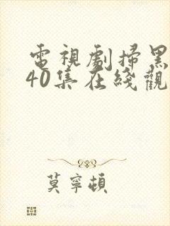 电视剧扫黑风暴40集在线观看免费