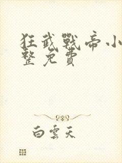 狂武战帝小说完整免费
