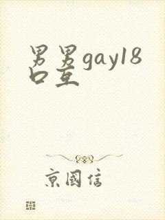男男gay18口互