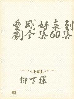 爱刚好来到电视剧全集60集