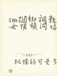 sm捆绑调教美女视频网站封面