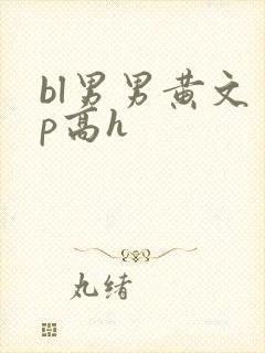 bl男男黄文多p高h封面