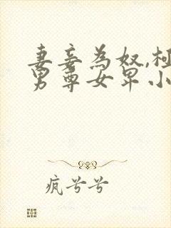 妻妾为奴,极致男尊女卑小说封面