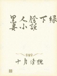 黑人胯下绿帽骚妻小说封面