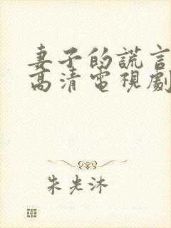 妻子的谎言免费高清电视剧封面