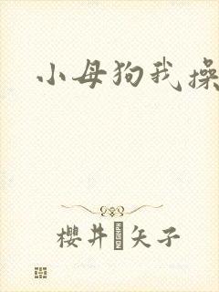小母狗我操死你