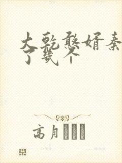 大乾憨婿秦墨娶了几个封面