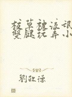 校草被流氓扒开双腿玩弄小说