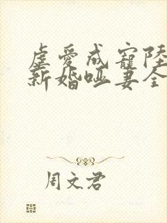 虐爱成宠陆总的新婚哑妻全集免费
