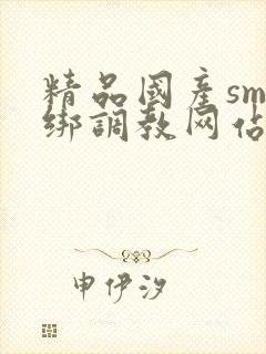 精品国产sm捆绑调教网站