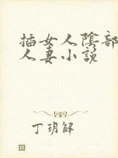 插女人阴部调教人妻小说